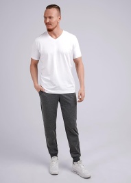 CLE 632204/1фэ Брюки мужские