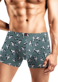 CLE MSH451321 Трусы мужские шорты