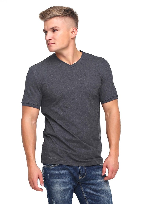 CLE 600431/2г Футболка мужская фото 1