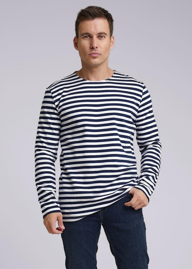 ЭЙС 600217 Джемпер мужской фото 1