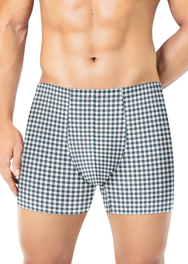 ЭЙС 600204 Трусы мужские шорты фото 1