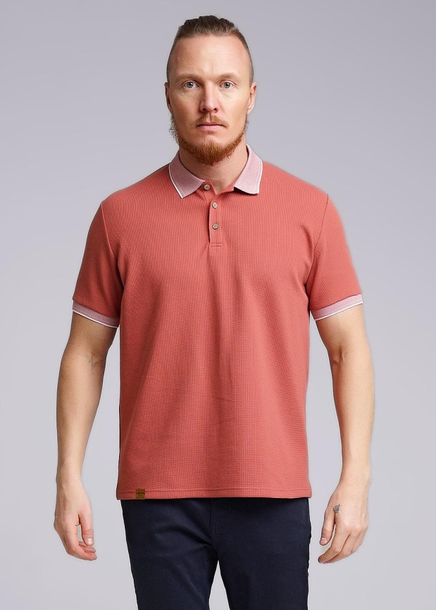 CLE 542185/03шаф Поло мужское фото 1