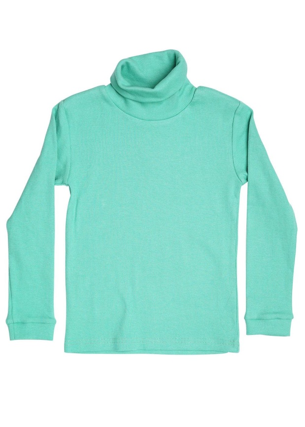 CLE 900308ш 52-64 Водолазка детская фото 2