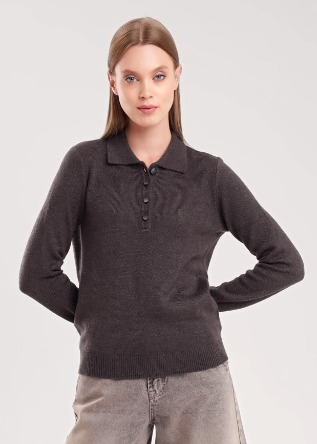 CLE 154583/190апш _1 Джемпер женский фото 1