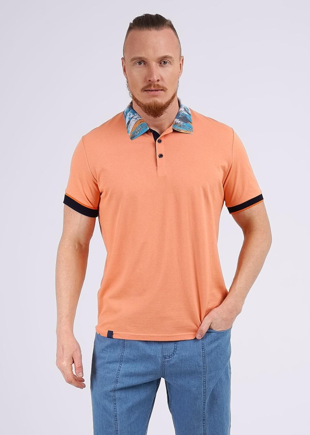 CLE 542365/09зз Поло мужское фото 1