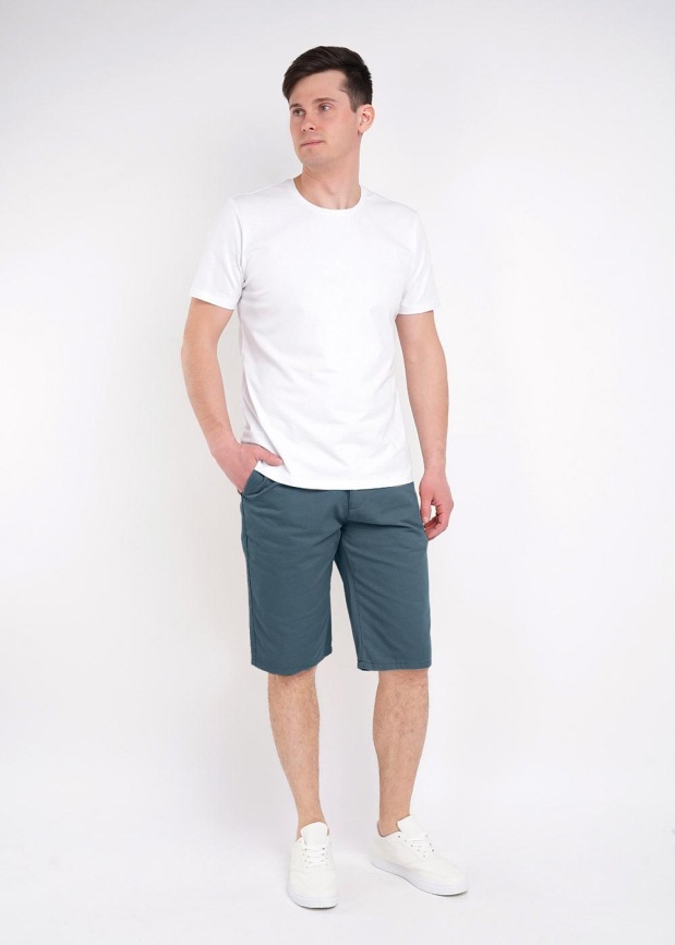 CLE 522623ру Шорты мужские фото 1