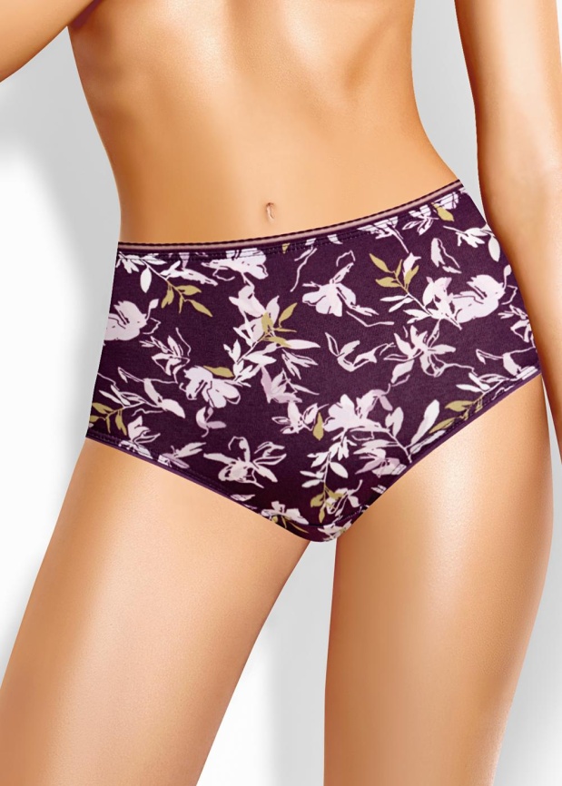 CLE M1183/2 Трусы женские макси фото 1