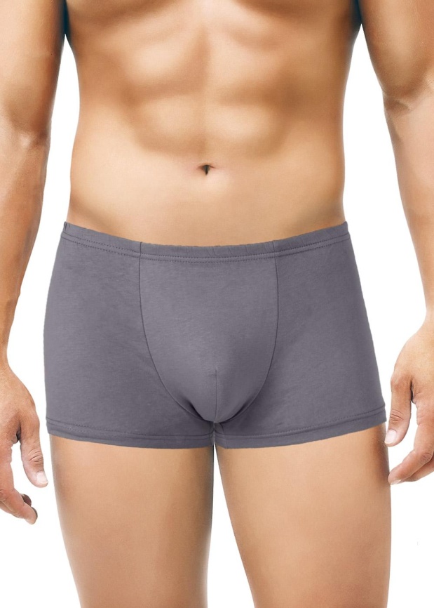 ЭЙС 600667/1 Трусы мужские шорты фото 3