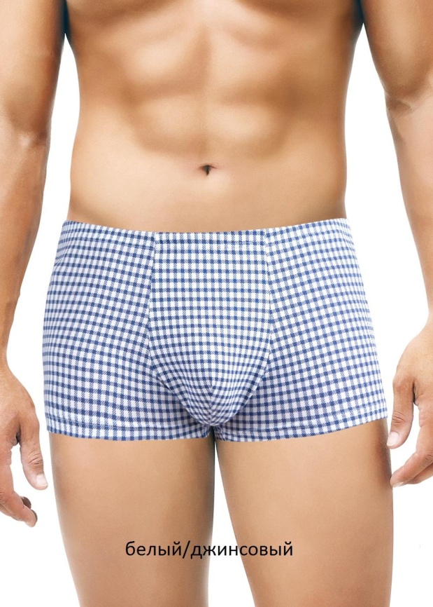 ЭЙС 600667н Трусы мужские шорты фото 1