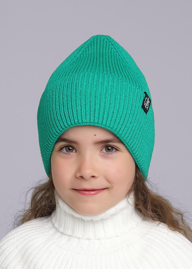 CLE 433869вн флис Шапка детская фото 1