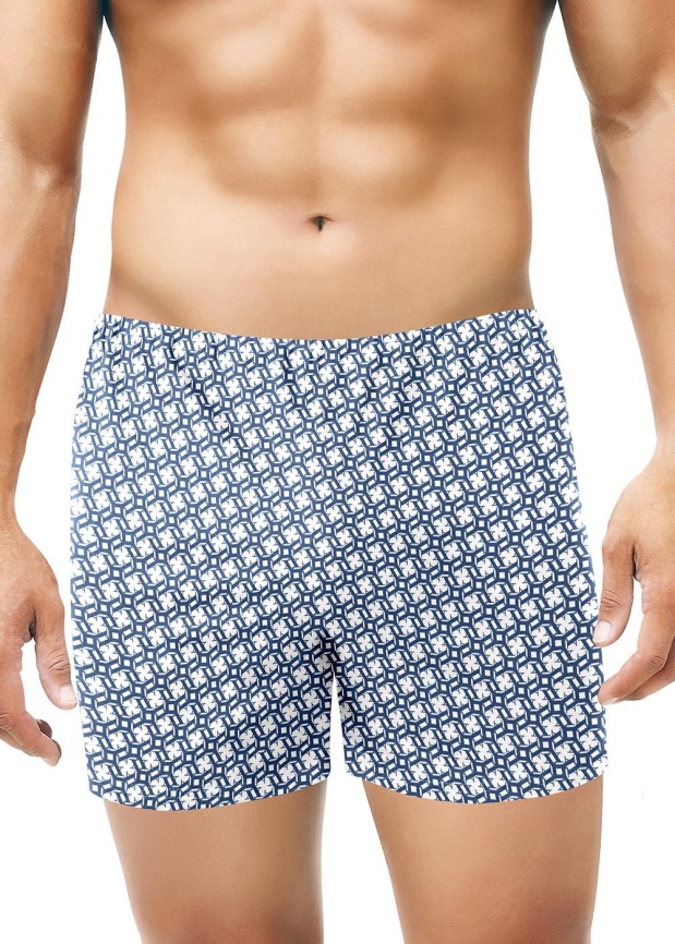 ЭЙС 600960/1 Трусы мужские боксеры фото 1