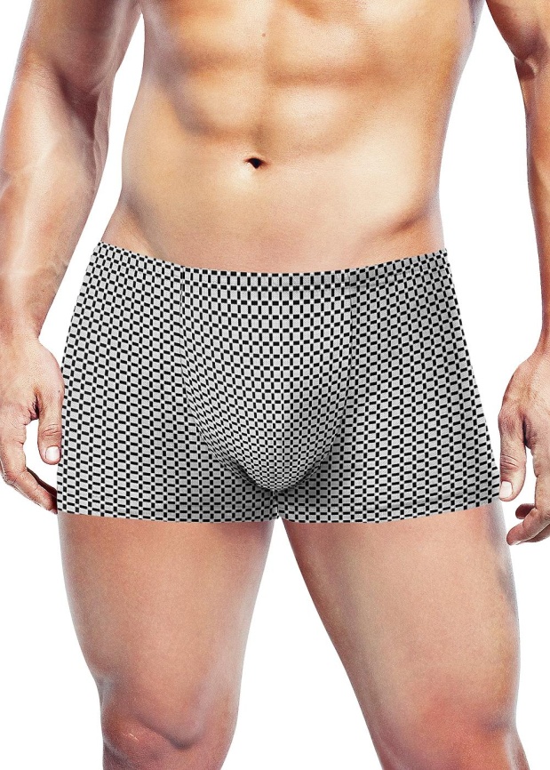 ЭЙС 600667н Трусы мужские шорты фото 3