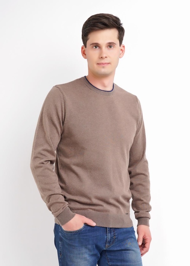 CLE 602807х Джемпер мужской фото 2