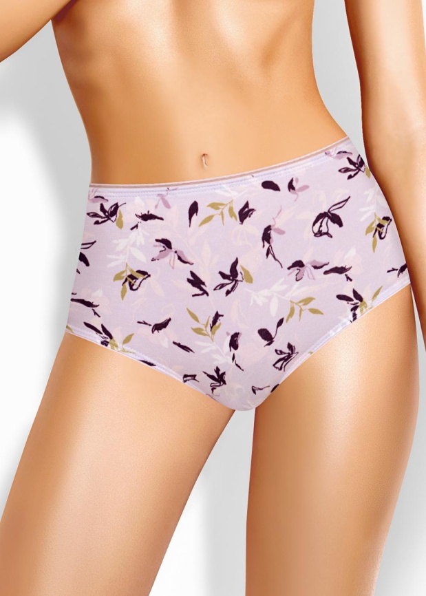 CLE M1183/3 Трусы женские макси фото 1