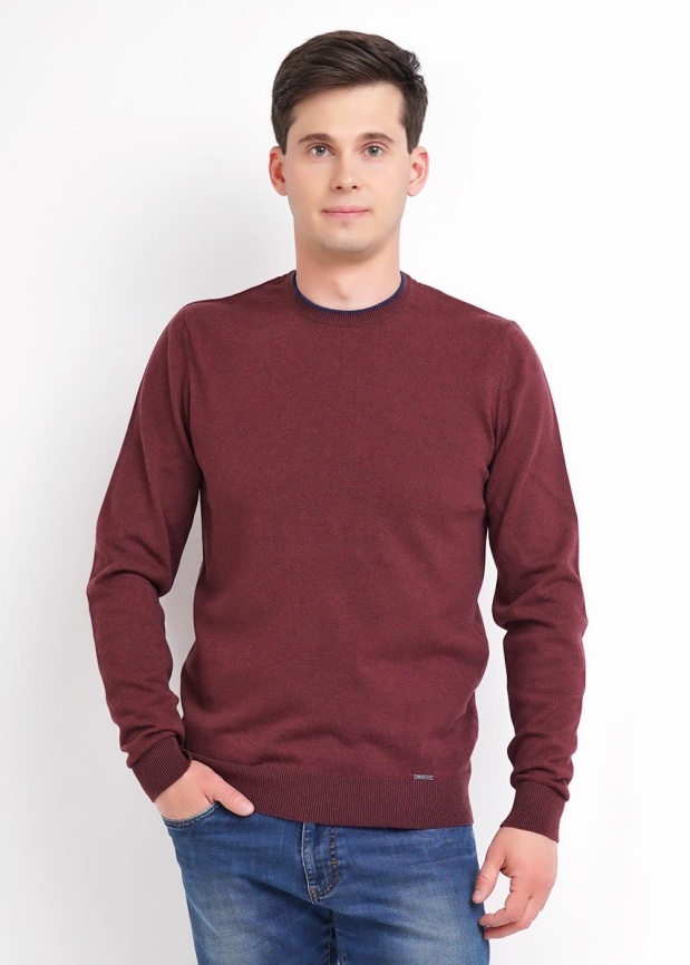 CLE 602807х Джемпер мужской фото 3